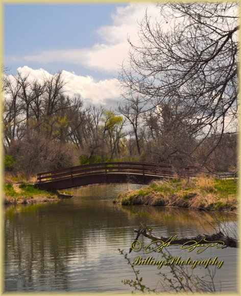Riverside Park Bridge