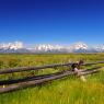 Teton Wide Fence